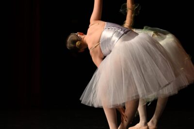 Agrandir l'image 9 sur 15, fenêtre modale