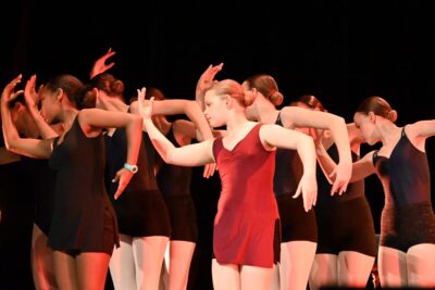 Agrandir l'image 6 sur 15, fenêtre modale