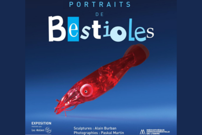 Agrandir l'image, fenêtre modale