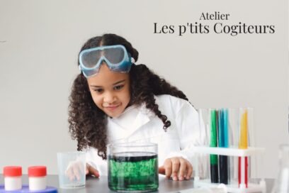 Agrandir l'image, fenêtre modale