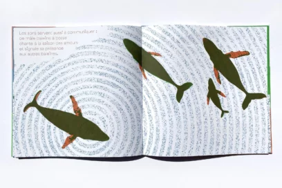 Agrandir l'image, fenêtre modale