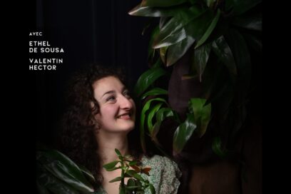 Agrandir l'image, fenêtre modale