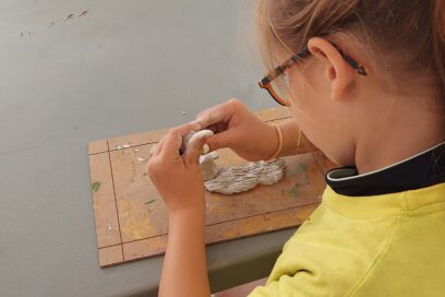 Agrandir l'image, fenêtre modale